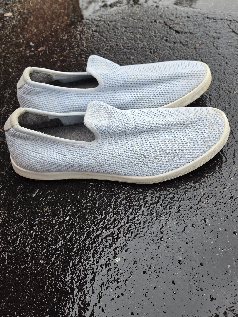Allbirds Tree Loungers Light Blue Slip-On Mesh Loafers